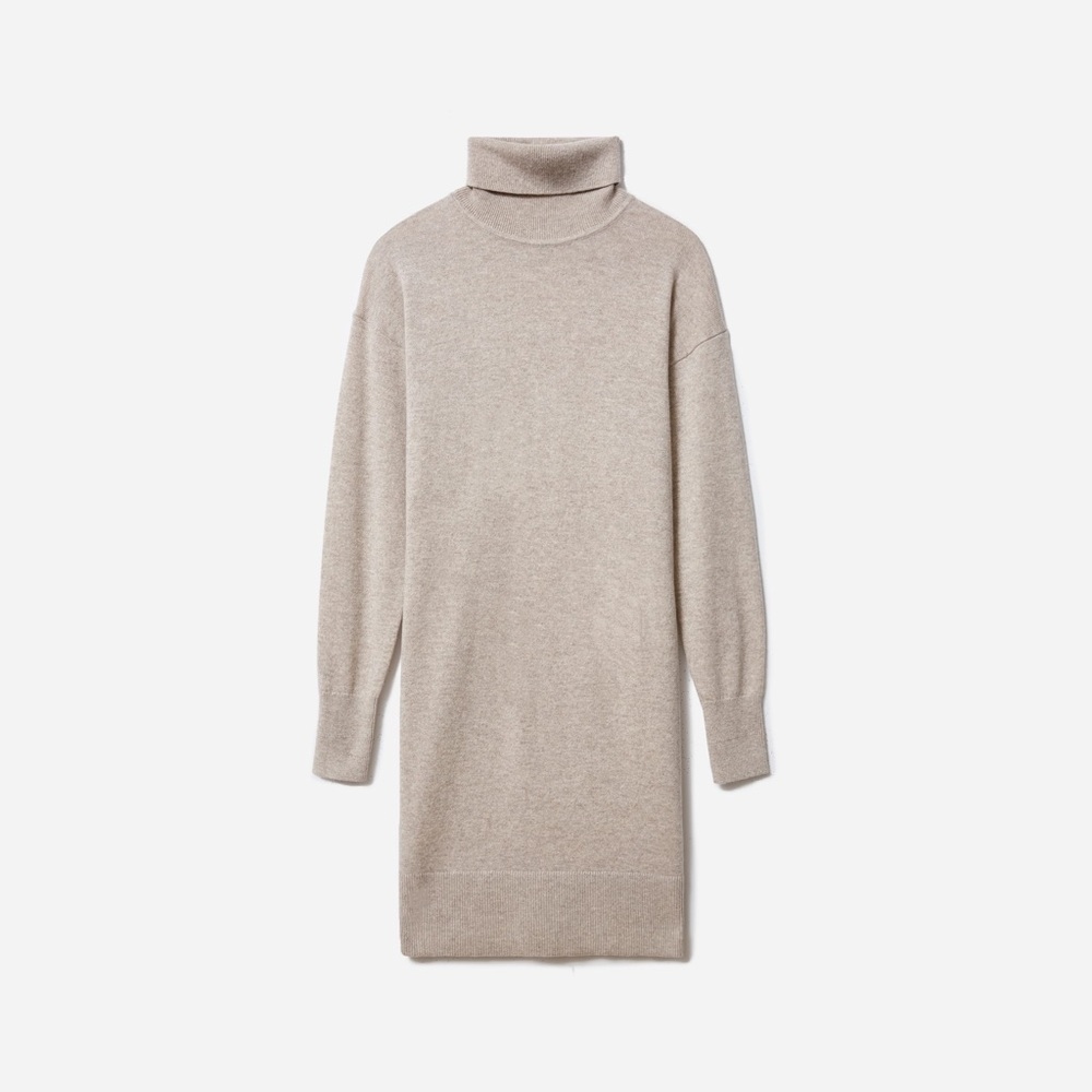 Everlane The Cashmere Turtleneck Dress Oatmeal Size Medium